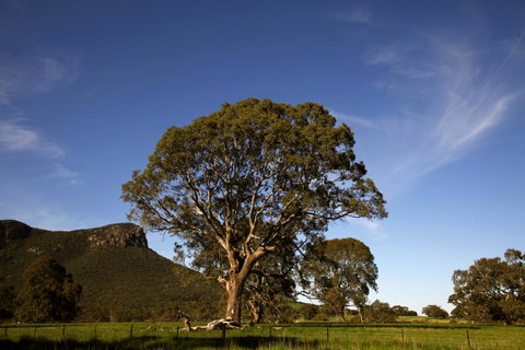 Dunkeld Studio Accommodation - Sunshine Coast Tourism 23