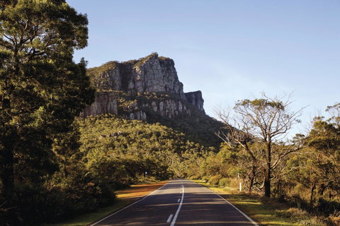 Dunkeld Studio Accommodation - Sunshine Coast Tourism 14