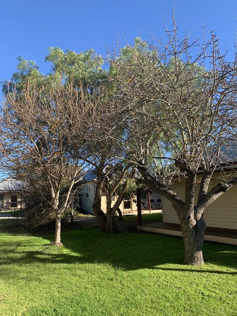 Dunkeld Studio Accommodation - Sunshine Coast Tourism 4