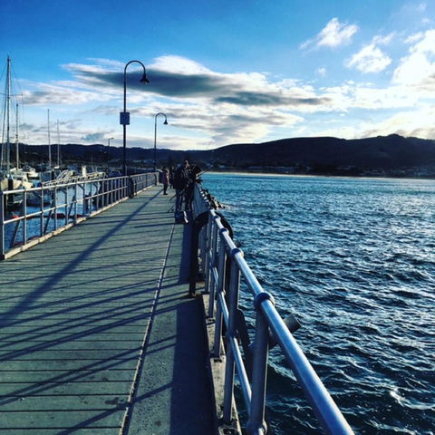 The Dolphin Apartments - Sunshine Coast Tourism 16