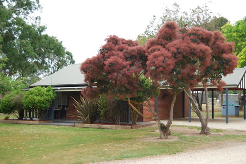 Greenvale Holiday Units - Sunshine Coast Tourism 9