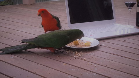 Wilsons Promontory Motel - Sunshine Coast Tourism 12