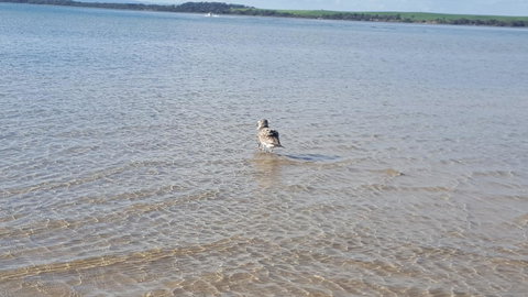 Wilsons Promontory Motel - Sunshine Coast Tourism 35