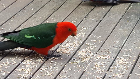 Wilsons Promontory Motel - Sunshine Coast Tourism 27