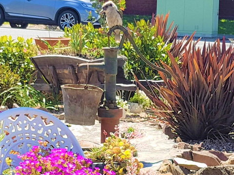 Wilsons Promontory Motel - Sunshine Coast Tourism 8