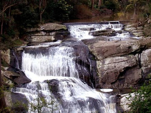 Wilsons Promontory Motel - Sunshine Coast Tourism 32