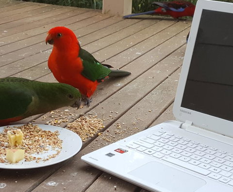 Wilsons Promontory Motel - Sunshine Coast Tourism 0