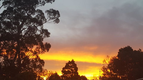 Wilsons Promontory Motel - Sunshine Coast Tourism 25