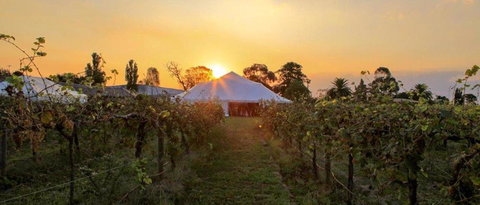 Bay Motel Safety Beach - Sunshine Coast Tourism 21