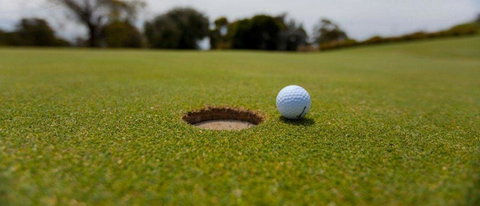 Bay Motel Safety Beach - Sunshine Coast Tourism 14
