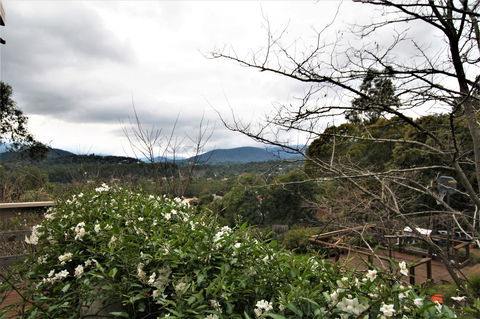 Hamptons In Healesville - Sunshine Coast Tourism 13