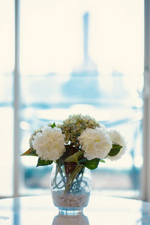 Luxury Apartments With View - Sunshine Coast Tourism 24