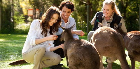 Balgownie Estate Yarra Valley - Sunshine Coast Tourism 10