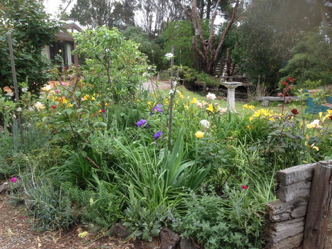 Mud Hollow Barn - Holiday Sunshine Coast 15