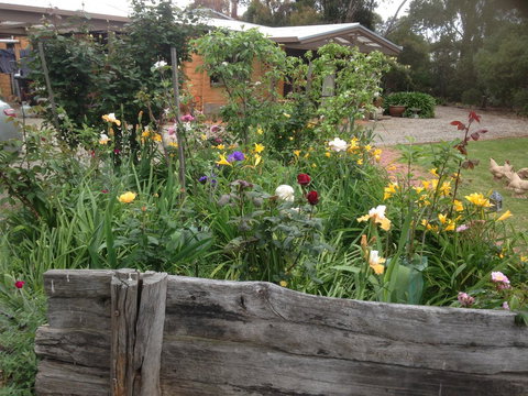 Mud Hollow Barn - Holiday Sunshine Coast 12