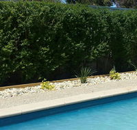 Robinvale Bridge Motel - Holiday Sunshine Coast