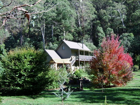Shady Brook Cottages - Sunshine Coast Tourism 7