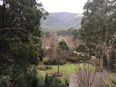 Shady Brook Cottages - Sunshine Coast Tourism 18