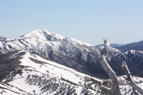 Shady Brook Cottages - Sunshine Coast Tourism 4