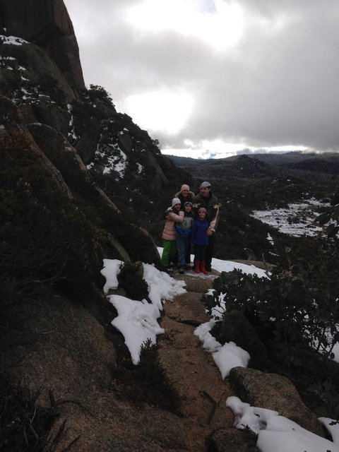 Shady Brook Cottages - Sunshine Coast Tourism 9