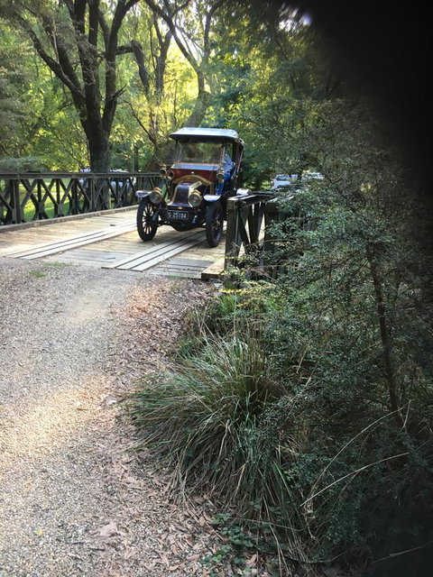 Shady Brook Cottages - Sunshine Coast Tourism 5