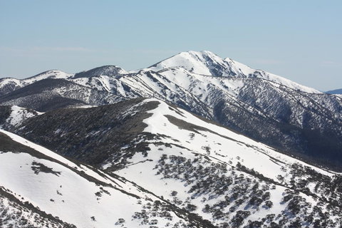 Shady Brook Cottages - Sunshine Coast Tourism 31