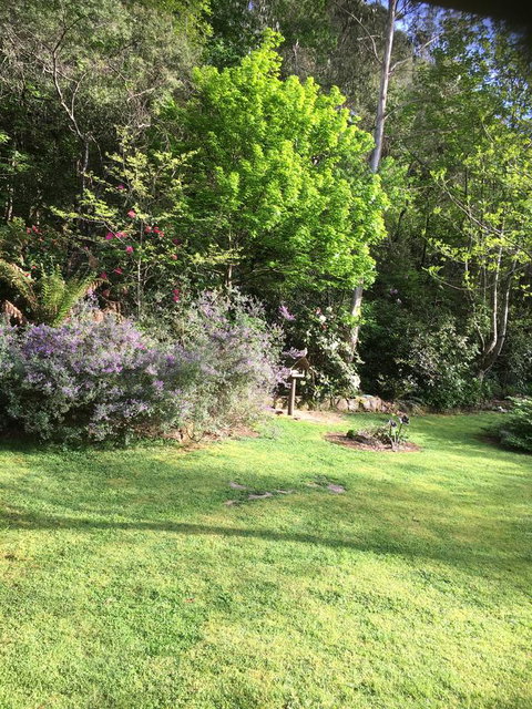 Shady Brook Cottages - Sunshine Coast Tourism 6