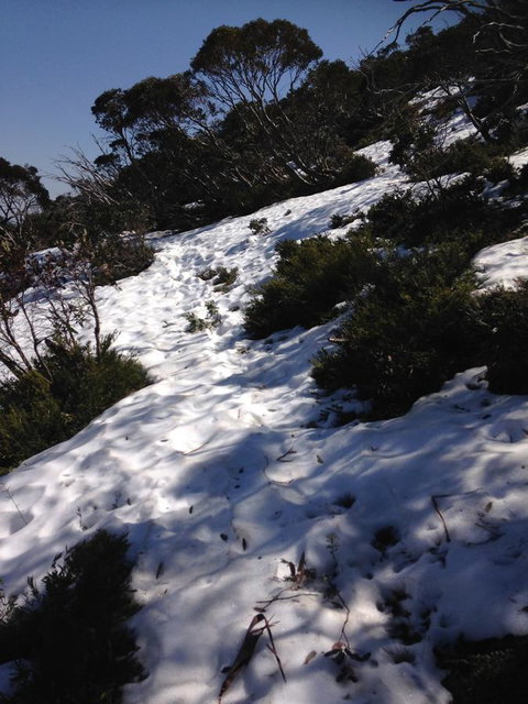 Shady Brook Cottages - Sunshine Coast Tourism 11