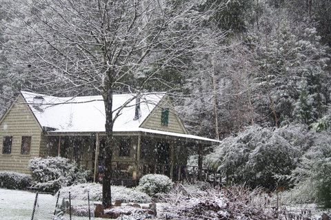 Shady Brook Cottages - Sunshine Coast Tourism 30