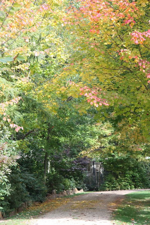 Shady Brook Cottages - Sunshine Coast Tourism 14