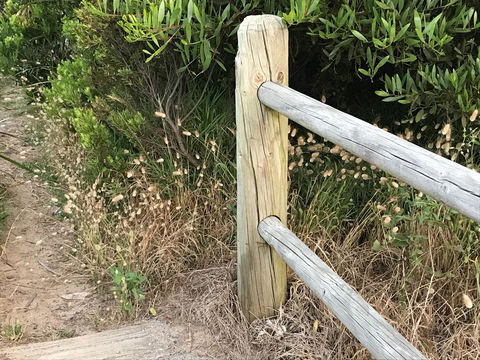 The International Motel Apollo Bay - Sunshine Coast Tourism 36