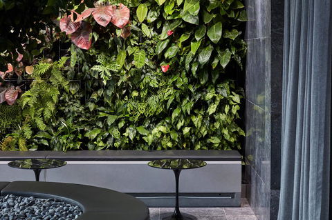 Shadow Play By Peppers - Sunshine Coast Tourism 11