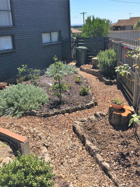 The Cosy Bungalow - Sunshine Coast Tourism 14