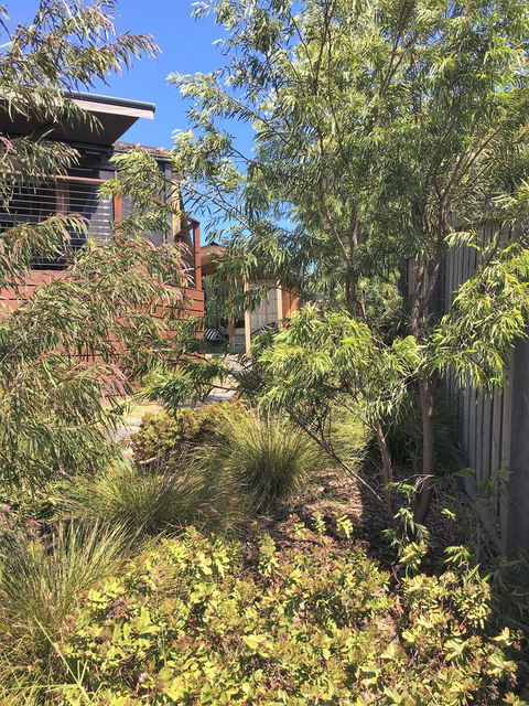 The Cosy Bungalow - Sunshine Coast Tourism 10
