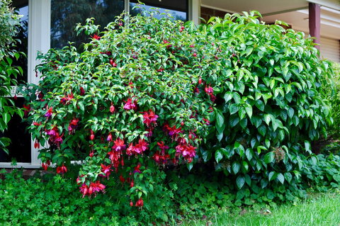 Crimea Retreat - Holiday Sunshine Coast 18