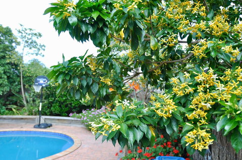 Crimea Retreat - Holiday Sunshine Coast 20