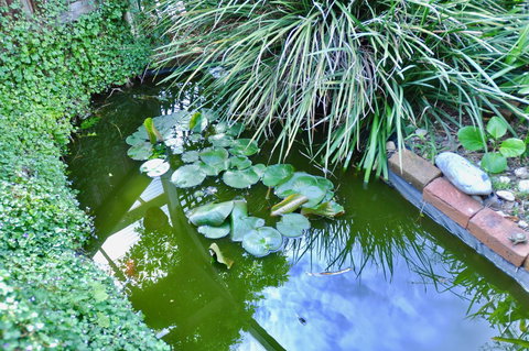 Crimea Retreat - Holiday Sunshine Coast 26