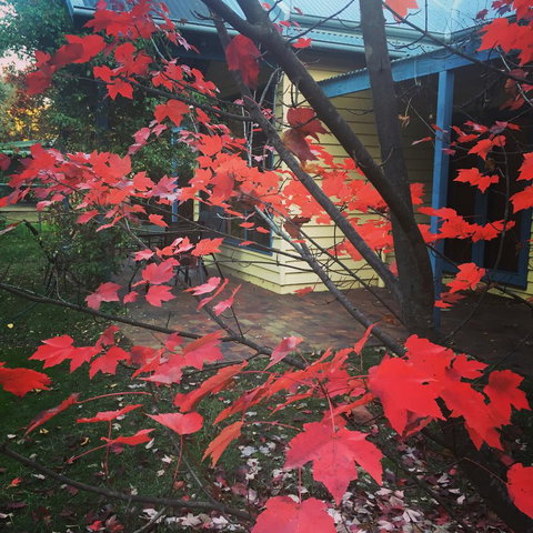 The Orchard House - Sunshine Coast Tourism 27