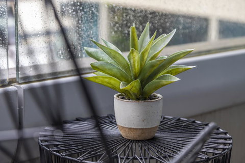 Signature Waterfront Apartments - Holiday Sunshine Coast 20