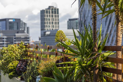 Signature Waterfront Apartments - Holiday Sunshine Coast 35