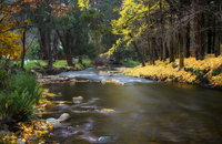 Goldfield Holiday Units