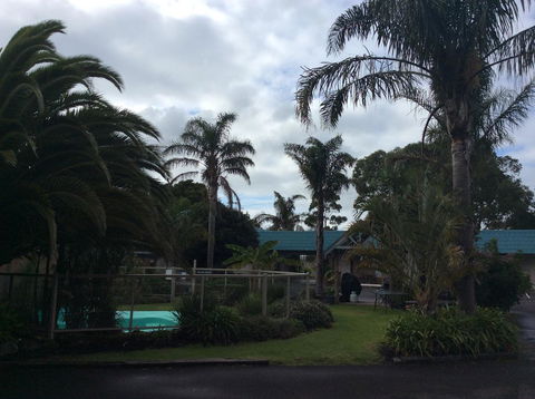 Tropicana Motor Inn - Sunshine Coast Tourism 37