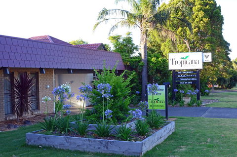 Tropicana Motor Inn - Sunshine Coast Tourism 10
