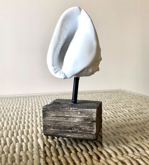 Sea Shells On Banyan Apartment - Holiday Sunshine Coast 9