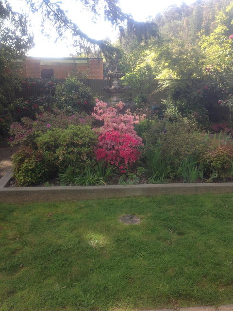 Viewhill Holiday Units - Sunshine Coast Tourism 4