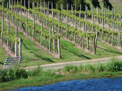 De\'Vine Escape - Sunshine Coast Tourism 13