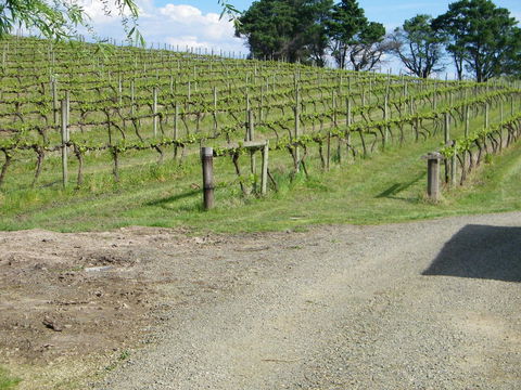De\'Vine Escape - Sunshine Coast Tourism 23