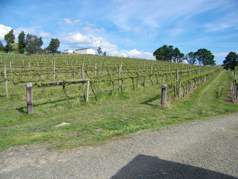 De\'Vine Escape - Sunshine Coast Tourism 30