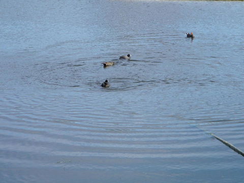De\'Vine Escape - Sunshine Coast Tourism 21