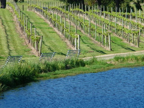 De\'Vine Escape - Sunshine Coast Tourism 29